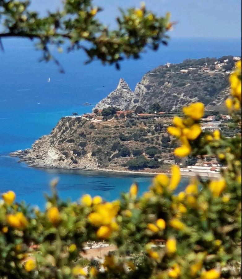 Il Giardino Di Capo Vaticano B&B And Apartments Bagian luar foto