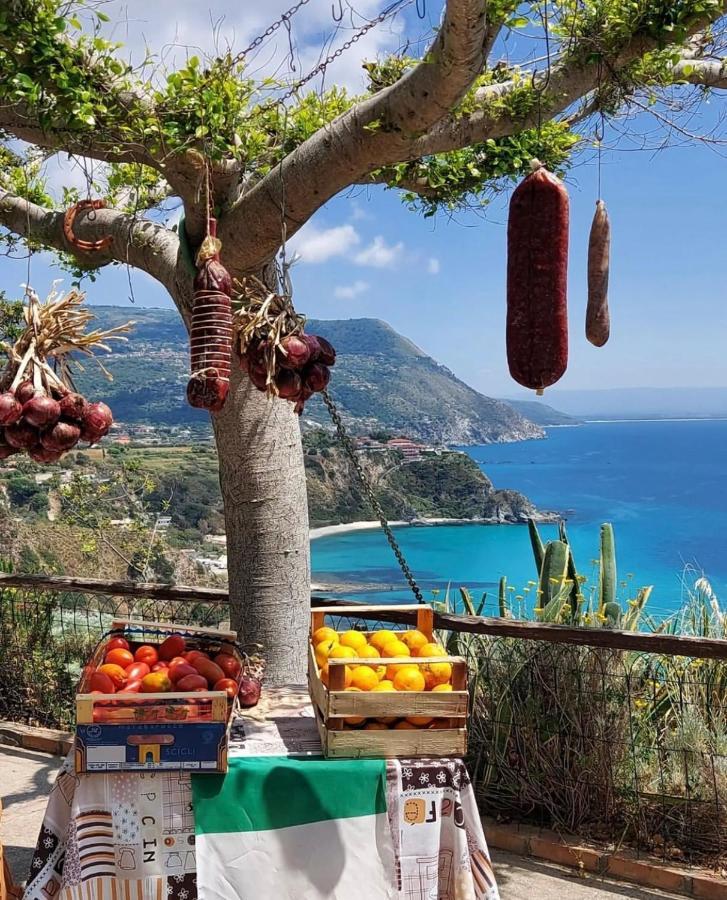 Il Giardino Di Capo Vaticano B&B And Apartments Bagian luar foto