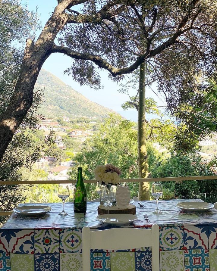 Il Giardino Di Capo Vaticano B&B And Apartments Bagian luar foto