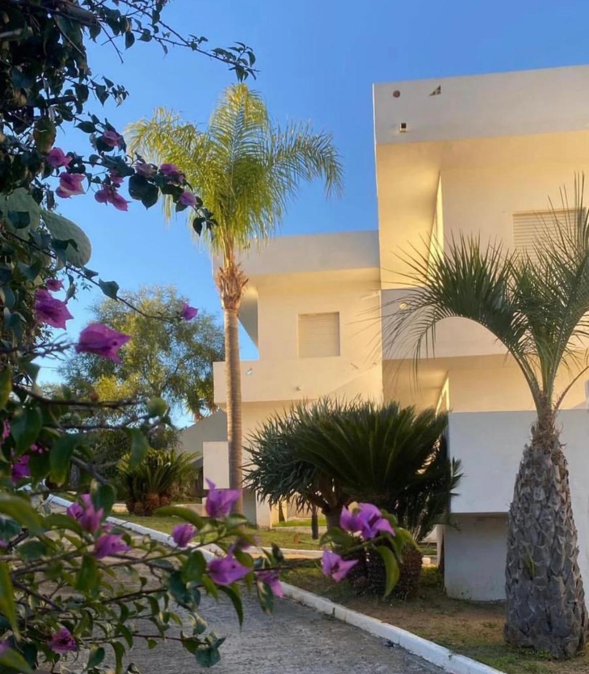 Il Giardino Di Capo Vaticano B&B And Apartments Bagian luar foto