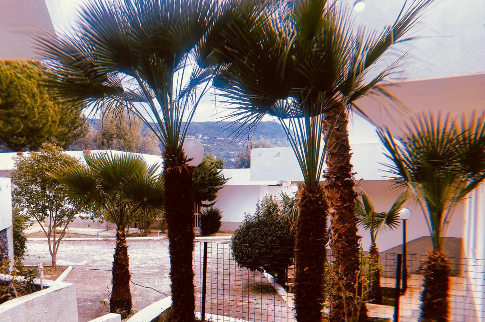 Il Giardino Di Capo Vaticano B&B And Apartments Bagian luar foto