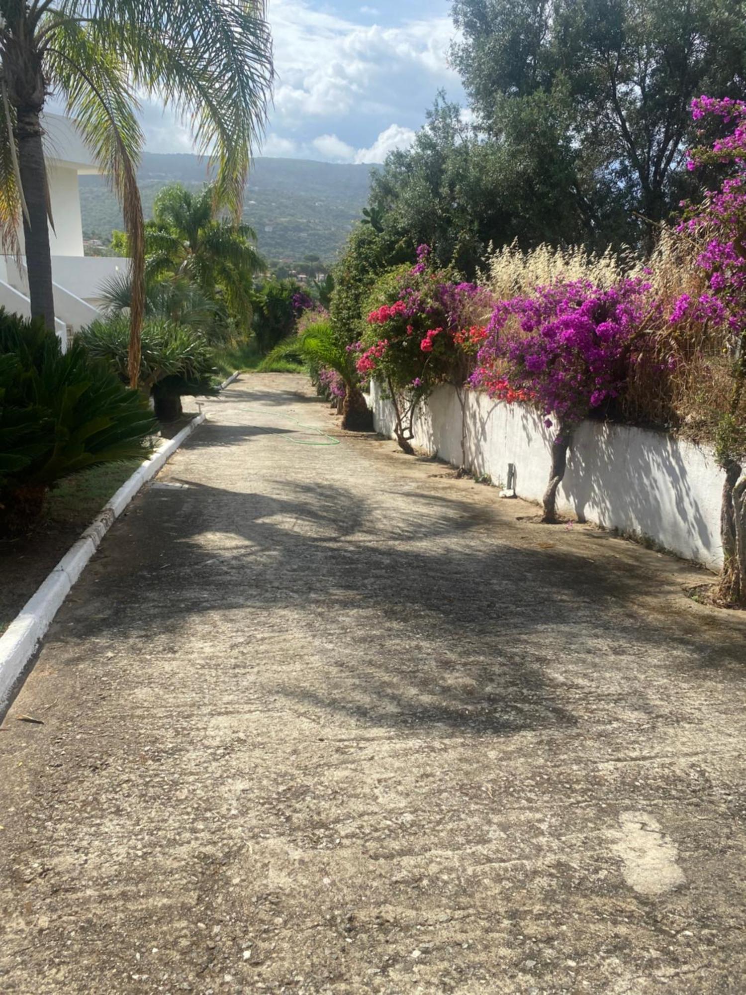 Il Giardino Di Capo Vaticano B&B And Apartments Bagian luar foto